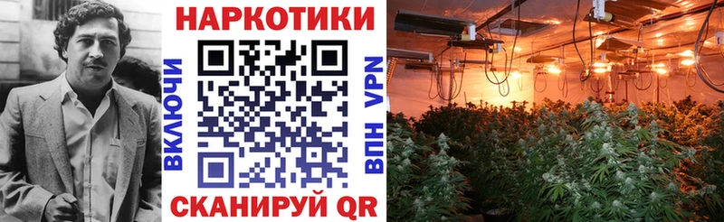 Цена Макушино A PVP  MEGA маркетплейс  АМФЕТАМИН  Каннабис  НБОМе  Меф мяу мяу  Гашиш  Кокаин 