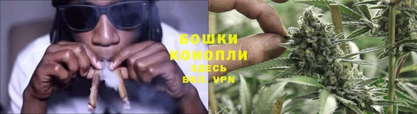 прущие грибы Армянск
