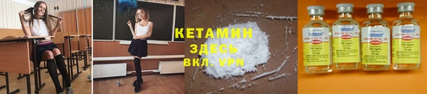 прущие грибы Армянск