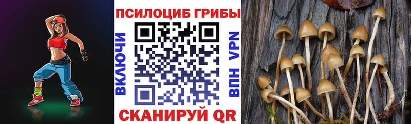 Псилоцибиновые грибы Magic Shrooms  Макушино 